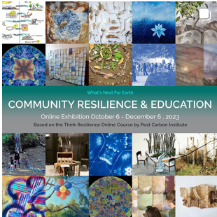 whatsnextforearth.com art exhibitions community resilience and education