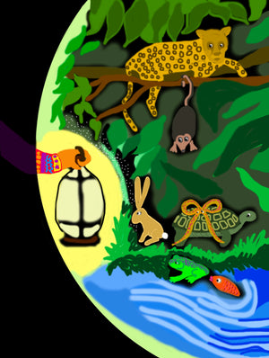 Illuminated Interconnectedness