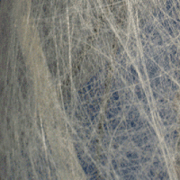 Seed fiber